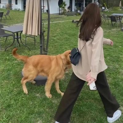 灵养院大疯杀